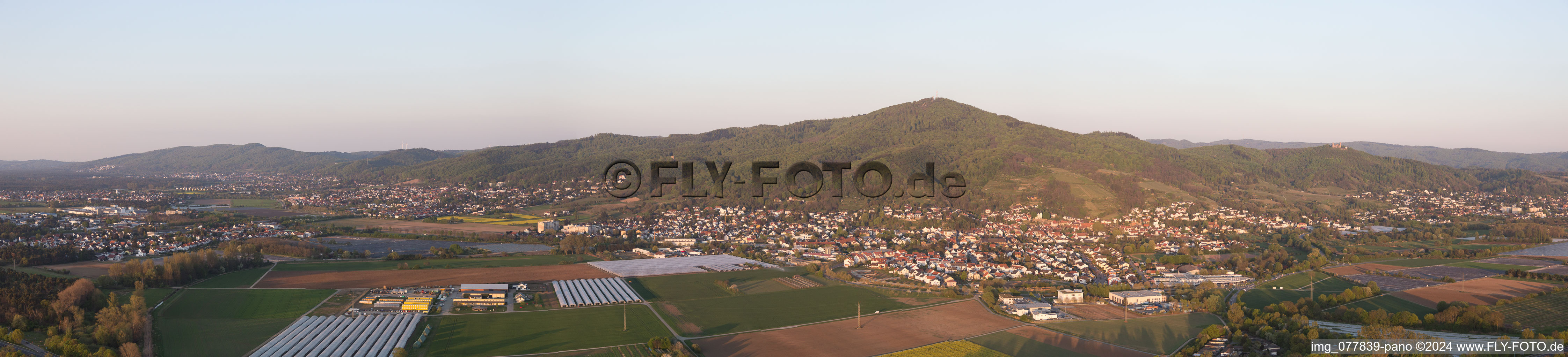 Vue aérienne de Panorama à Zwingenberg dans le département Hesse, Allemagne