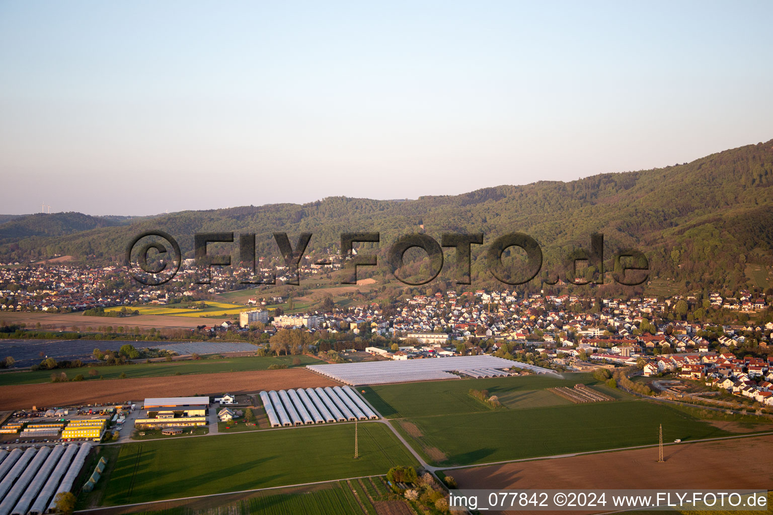 Vue d'oiseau de Zwingenberg dans le département Hesse, Allemagne