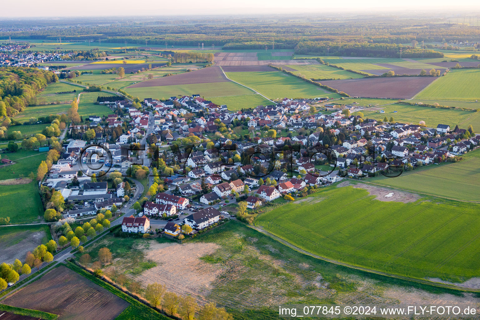 Vue aérienne de Quartier Rodau in Zwingenberg dans le département Hesse, Allemagne