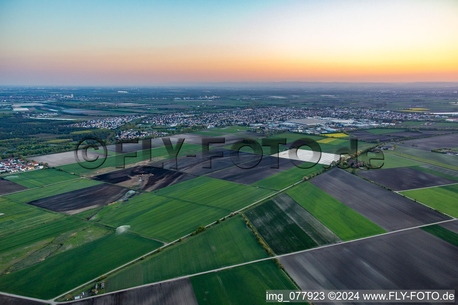 Vue aérienne de Du nord-est à Bürstadt dans le département Hesse, Allemagne