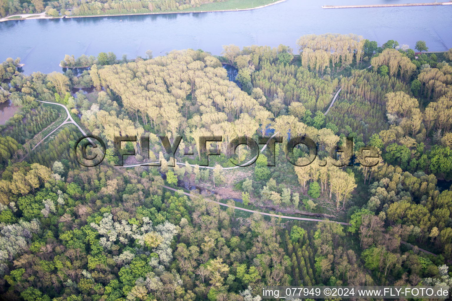 Vue aérienne de Quartier Maximiliansau in Wörth am Rhein dans le département Rhénanie-Palatinat, Allemagne