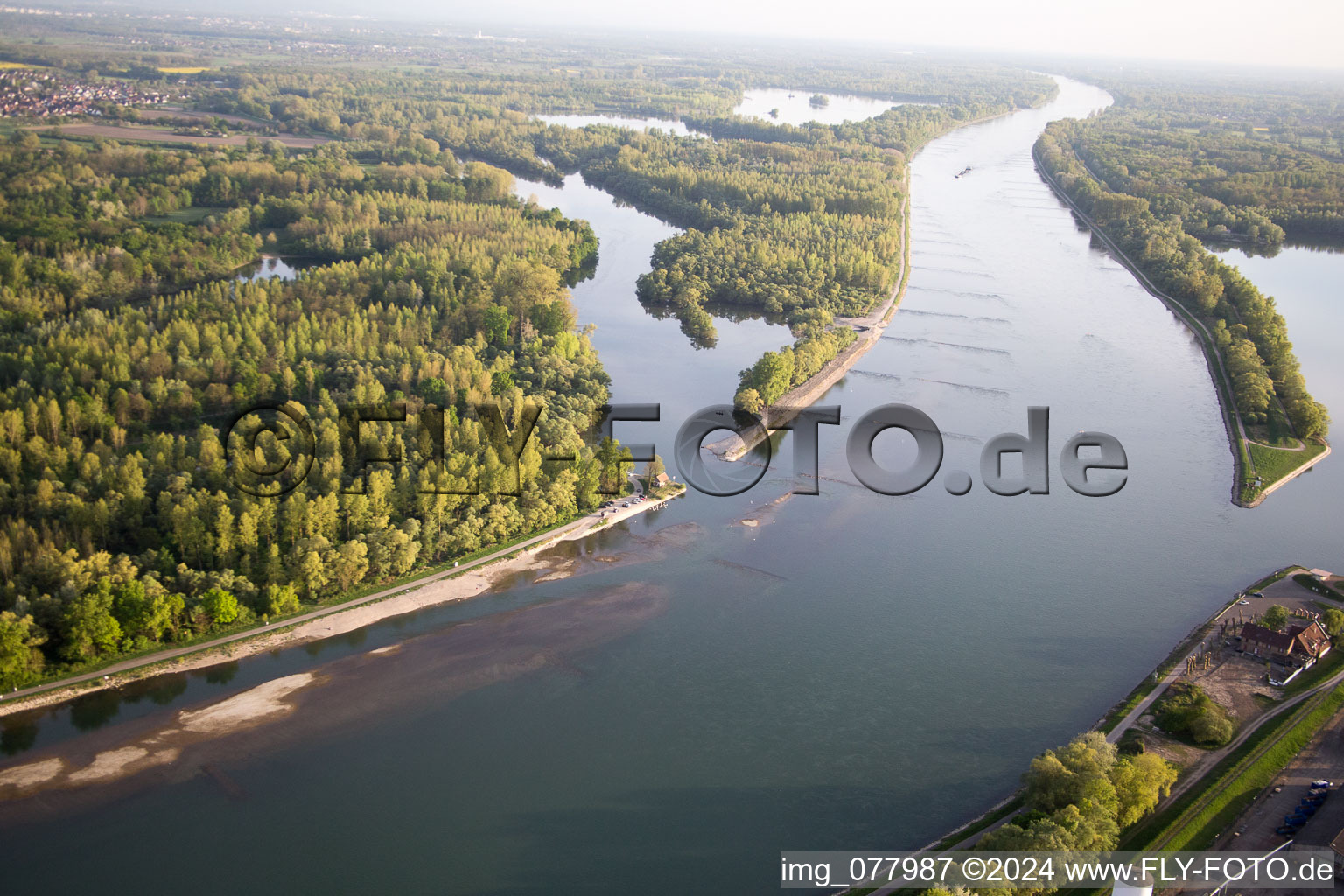 Vue aérienne de Illinger Altrhein à Au am Rhein dans le département Bade-Wurtemberg, Allemagne