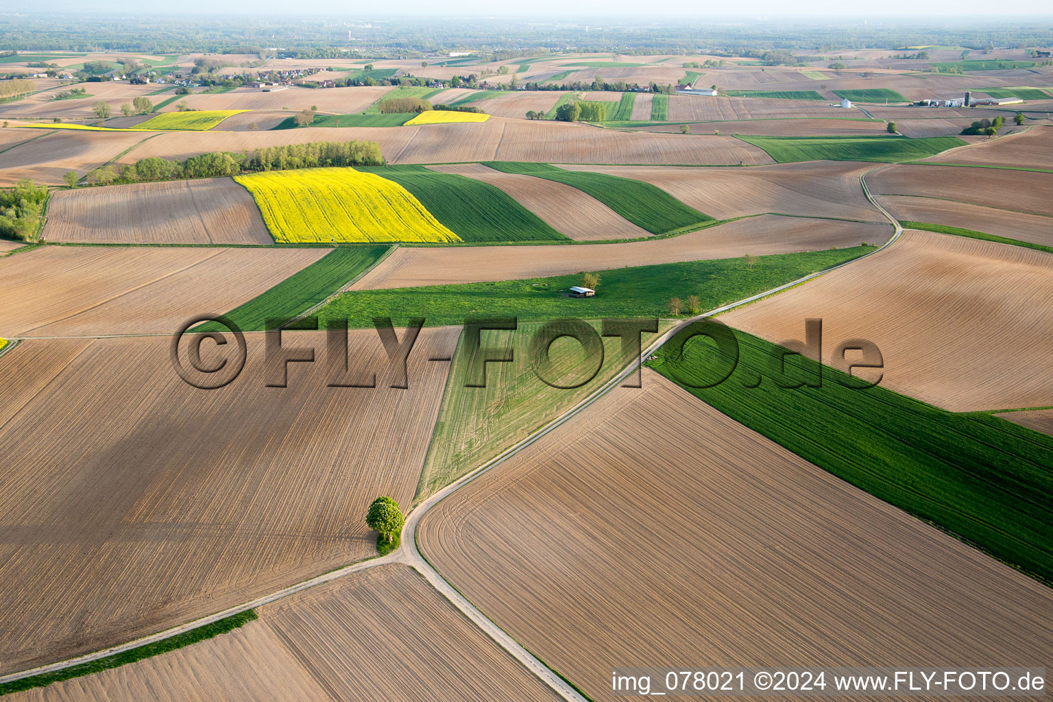 Vue oblique de Niederlauterbach dans le département Bas Rhin, France