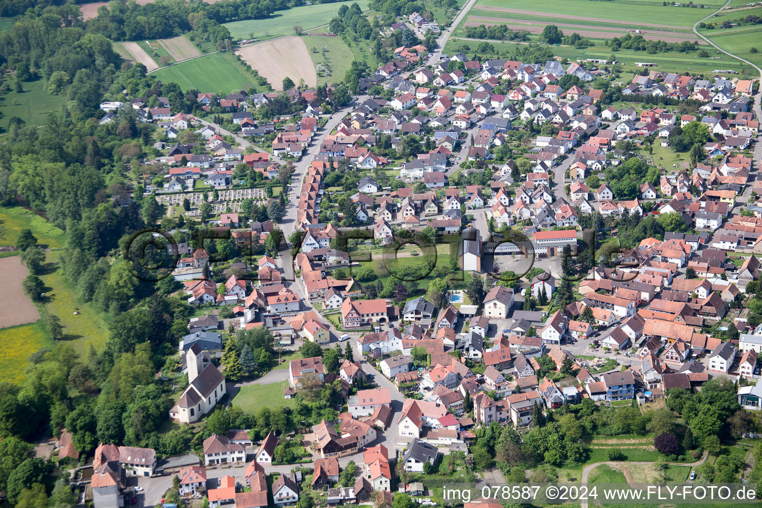 Vue aérienne de Vue du village (Palatinat) à Berg dans le département Rhénanie-Palatinat, Allemagne
