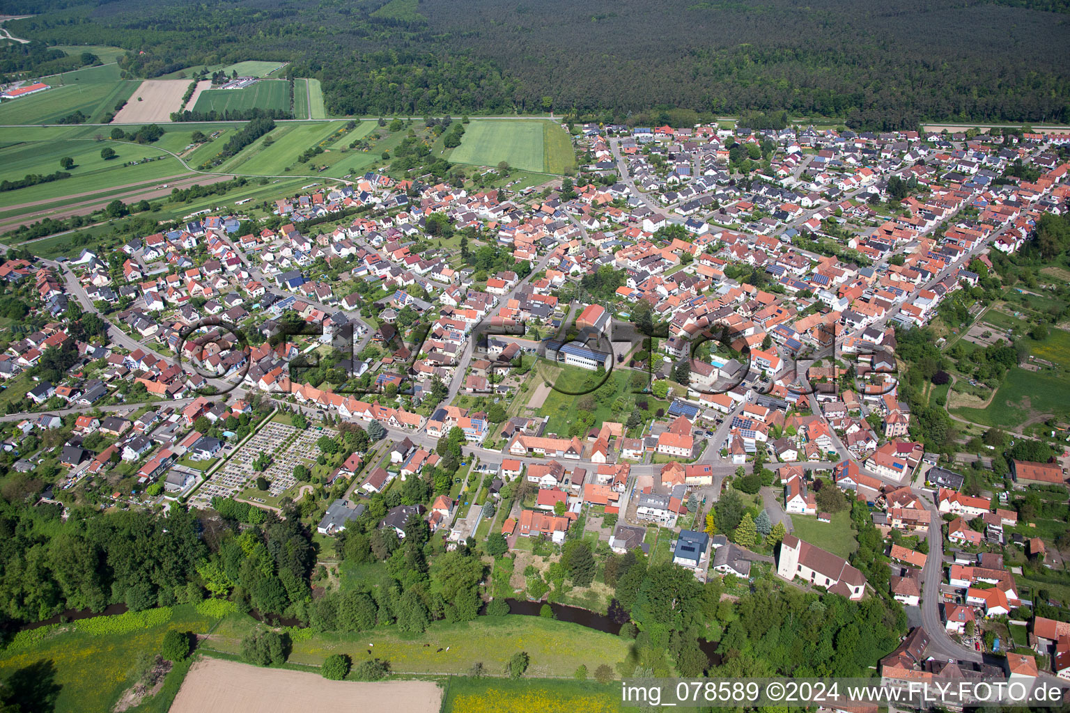 Vue aérienne de Vue du village (Palatinat) à Berg dans le département Rhénanie-Palatinat, Allemagne