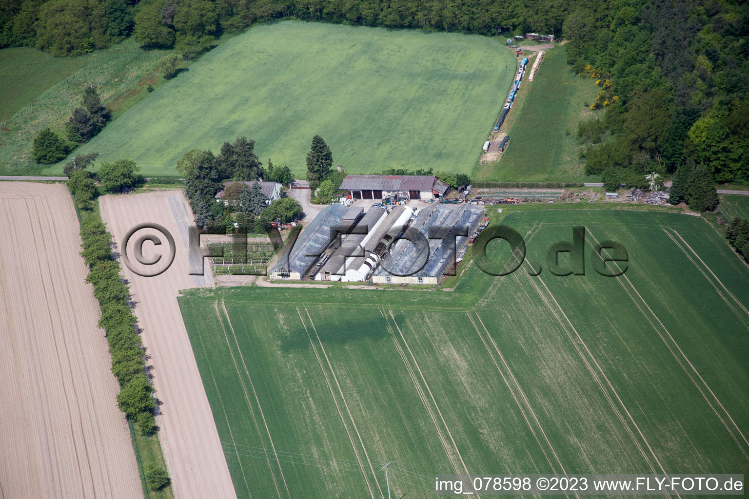 Berg dans le département Rhénanie-Palatinat, Allemagne du point de vue du drone