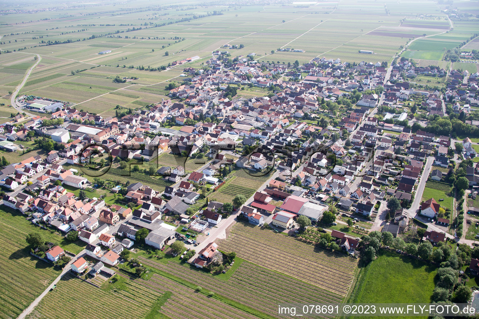 Vue aérienne de Niederkirchen bei Deidesheim dans le département Rhénanie-Palatinat, Allemagne