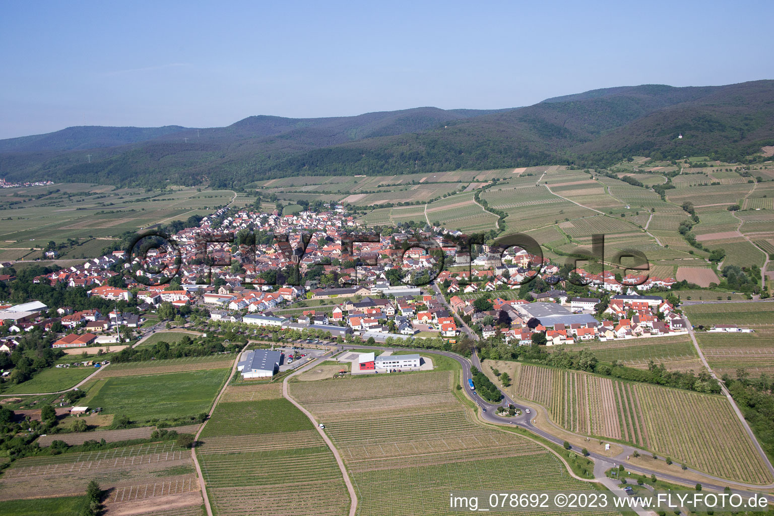 Vue aérienne de Deidesheim dans le département Rhénanie-Palatinat, Allemagne