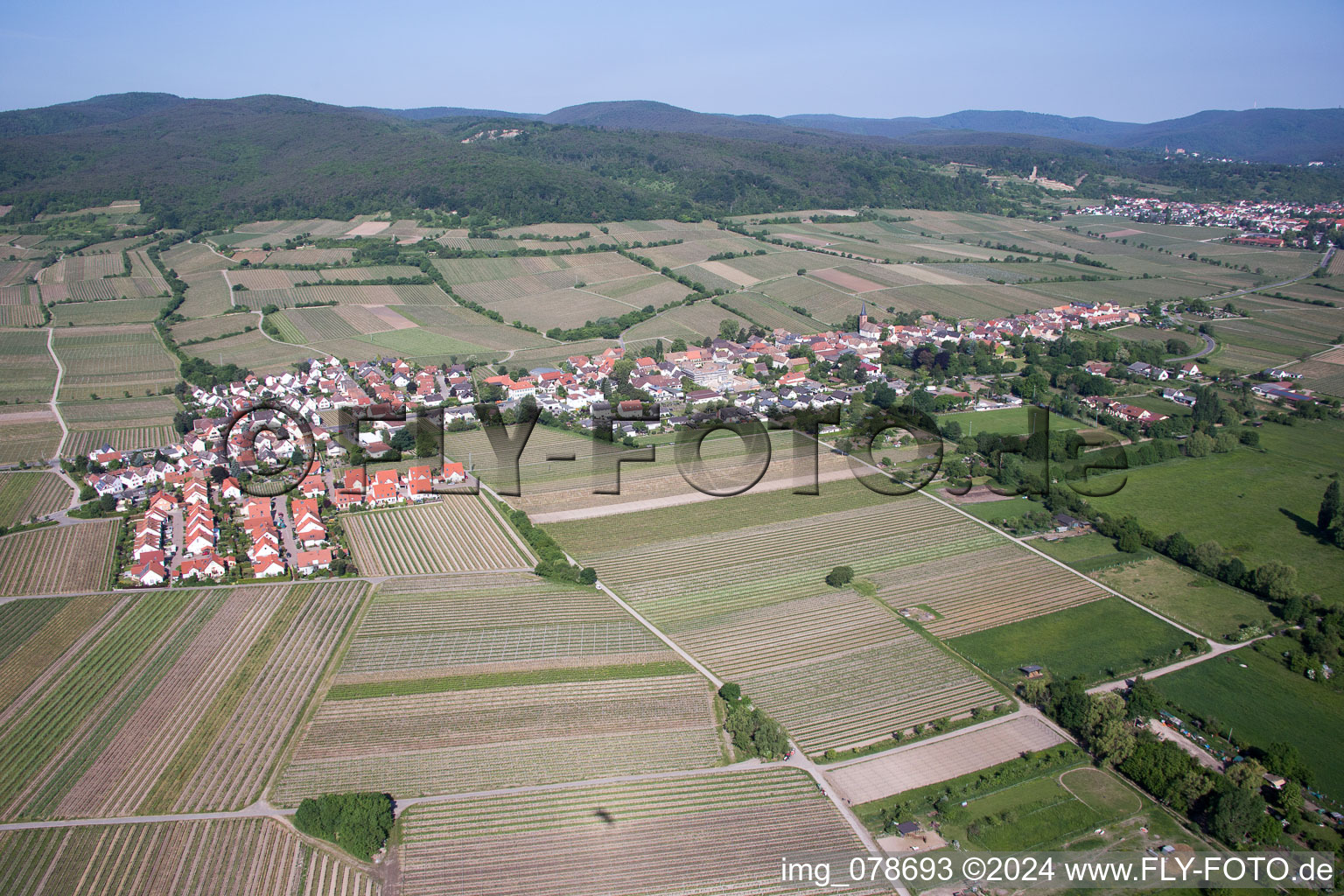 Vue aérienne de Forst an der Weinstraße dans le département Rhénanie-Palatinat, Allemagne