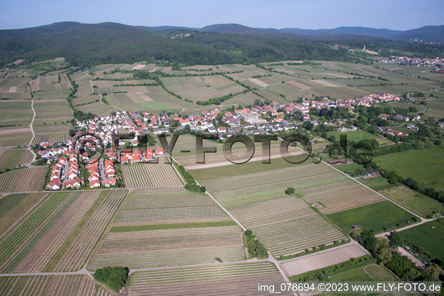 Vue aérienne de Forst an der Weinstraße dans le département Rhénanie-Palatinat, Allemagne