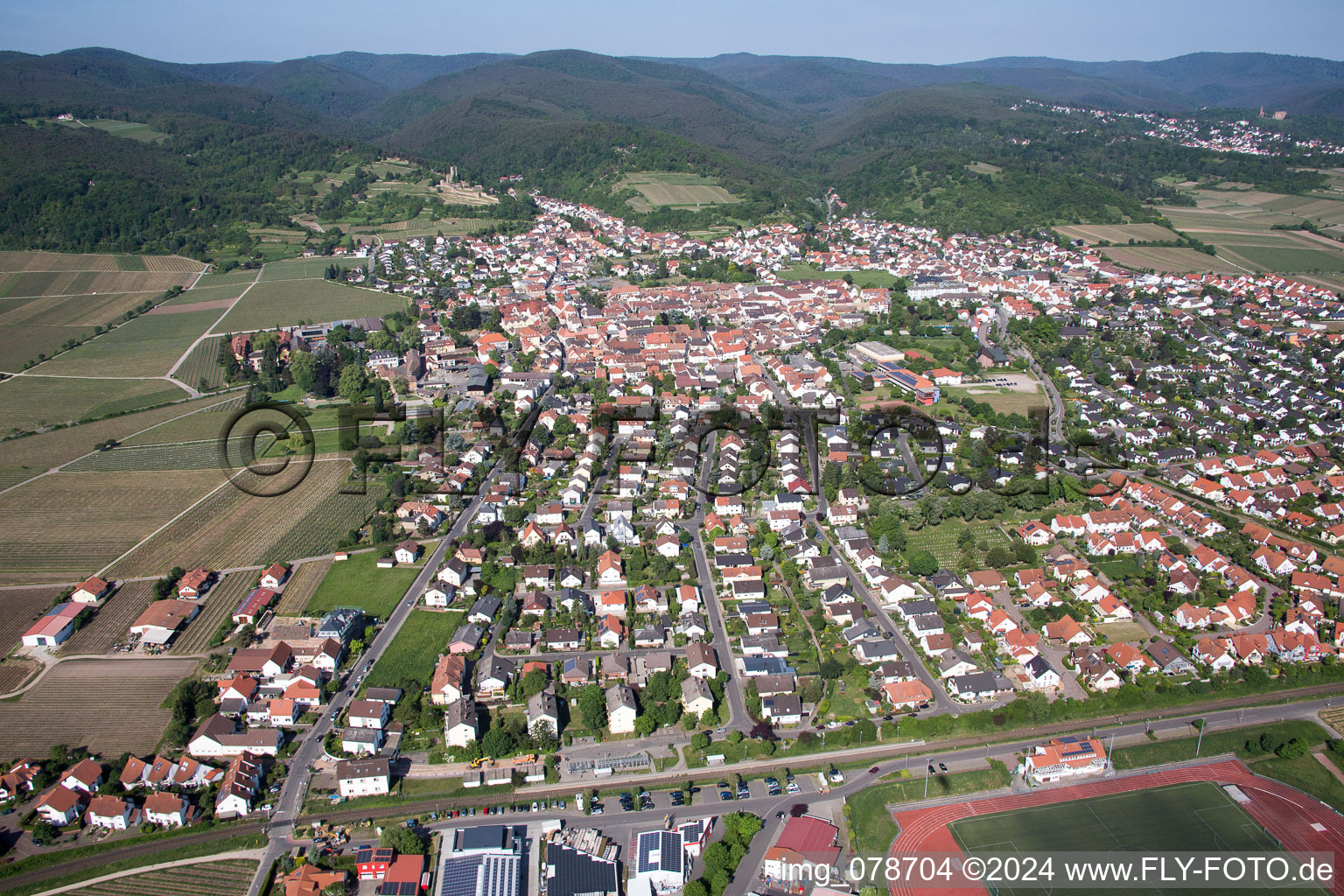 Vue aérienne de Wachenheim an der Weinstraße dans le département Rhénanie-Palatinat, Allemagne