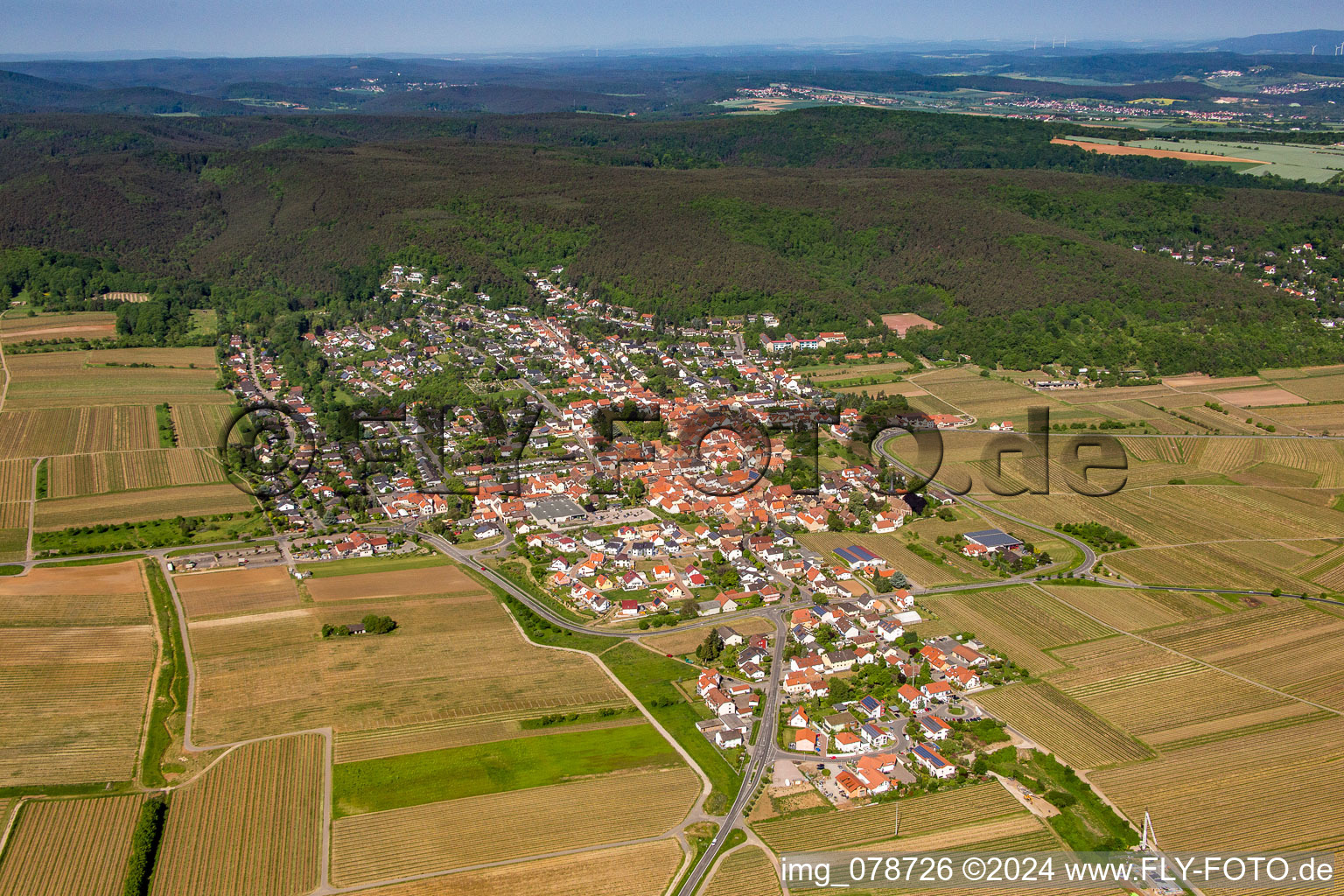 Vue aérienne de Champs agricoles et surfaces utilisables à Weisenheim am Berg dans le département Rhénanie-Palatinat, Allemagne