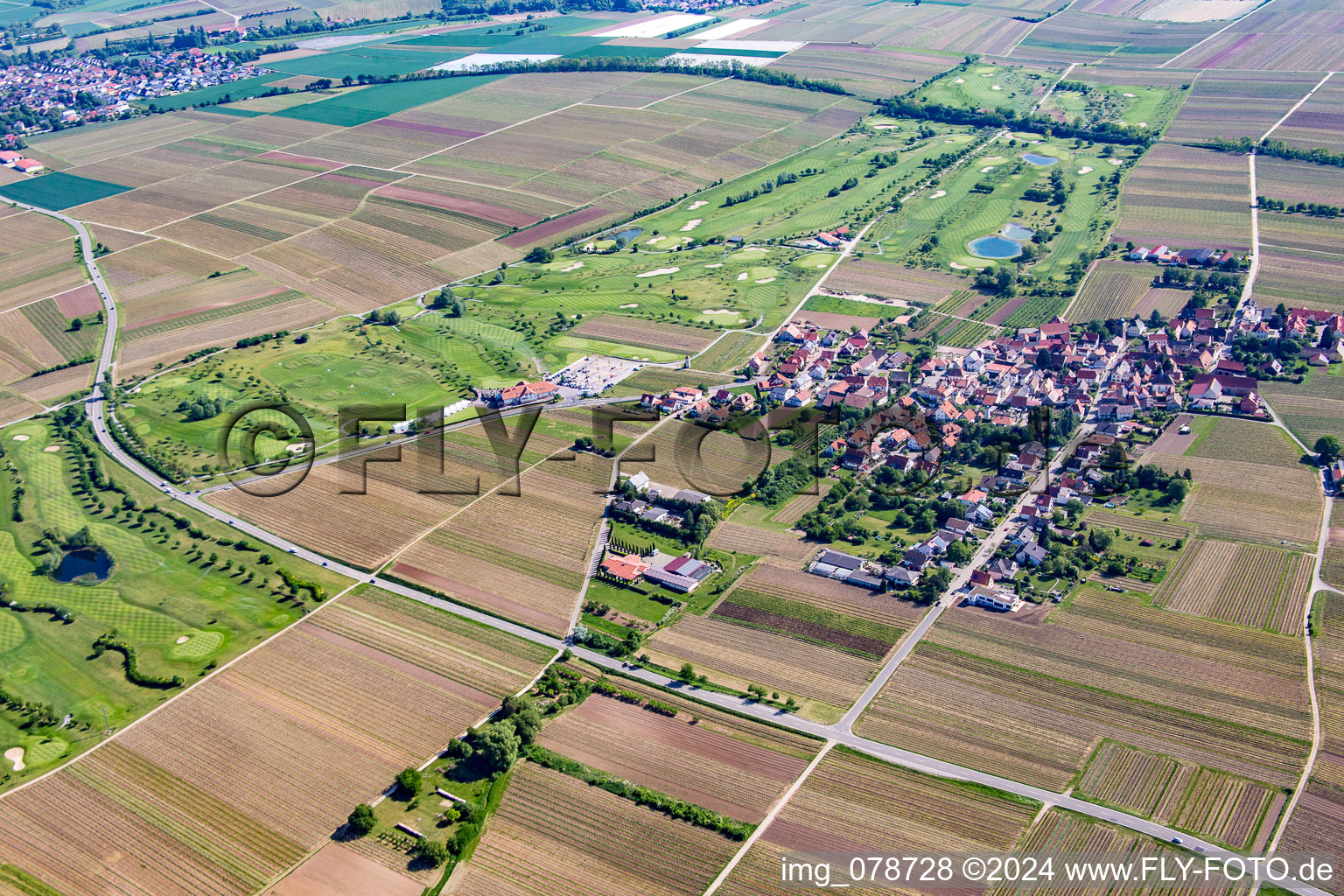 Vue aérienne de Terrain de golf à Dackenheim dans le département Rhénanie-Palatinat, Allemagne