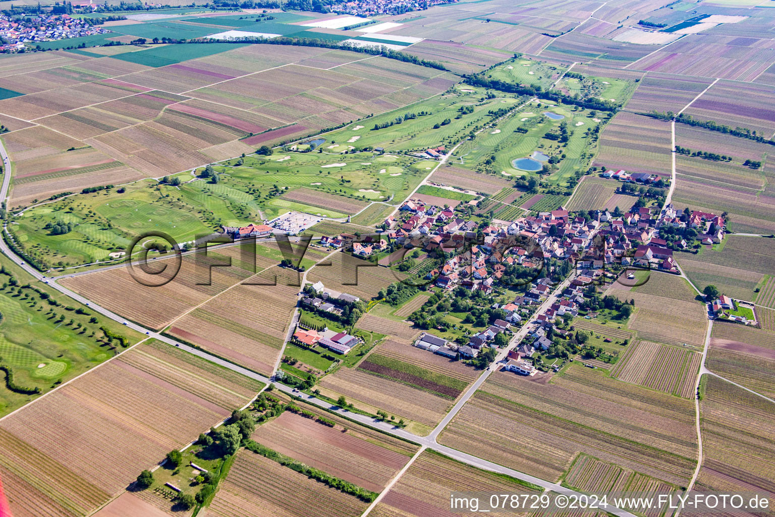 Vue aérienne de Terrain de golf à Dackenheim dans le département Rhénanie-Palatinat, Allemagne