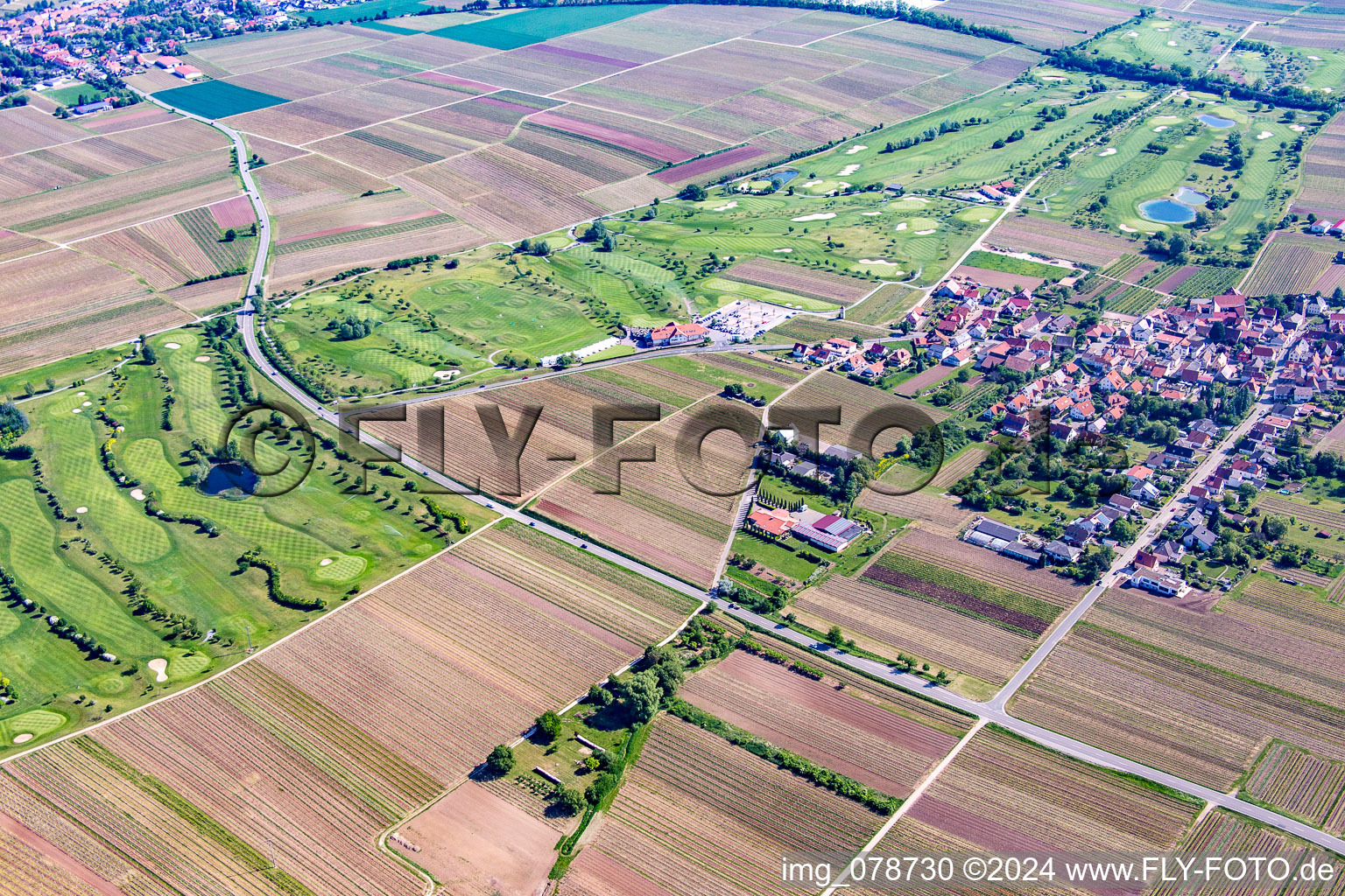 Photographie aérienne de Terrain de golf à Dackenheim dans le département Rhénanie-Palatinat, Allemagne