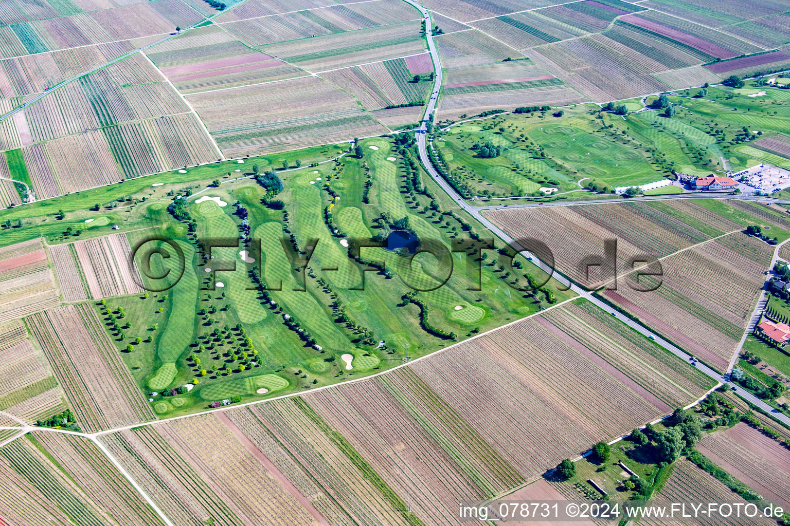 Vue oblique de Terrain de golf à Dackenheim dans le département Rhénanie-Palatinat, Allemagne