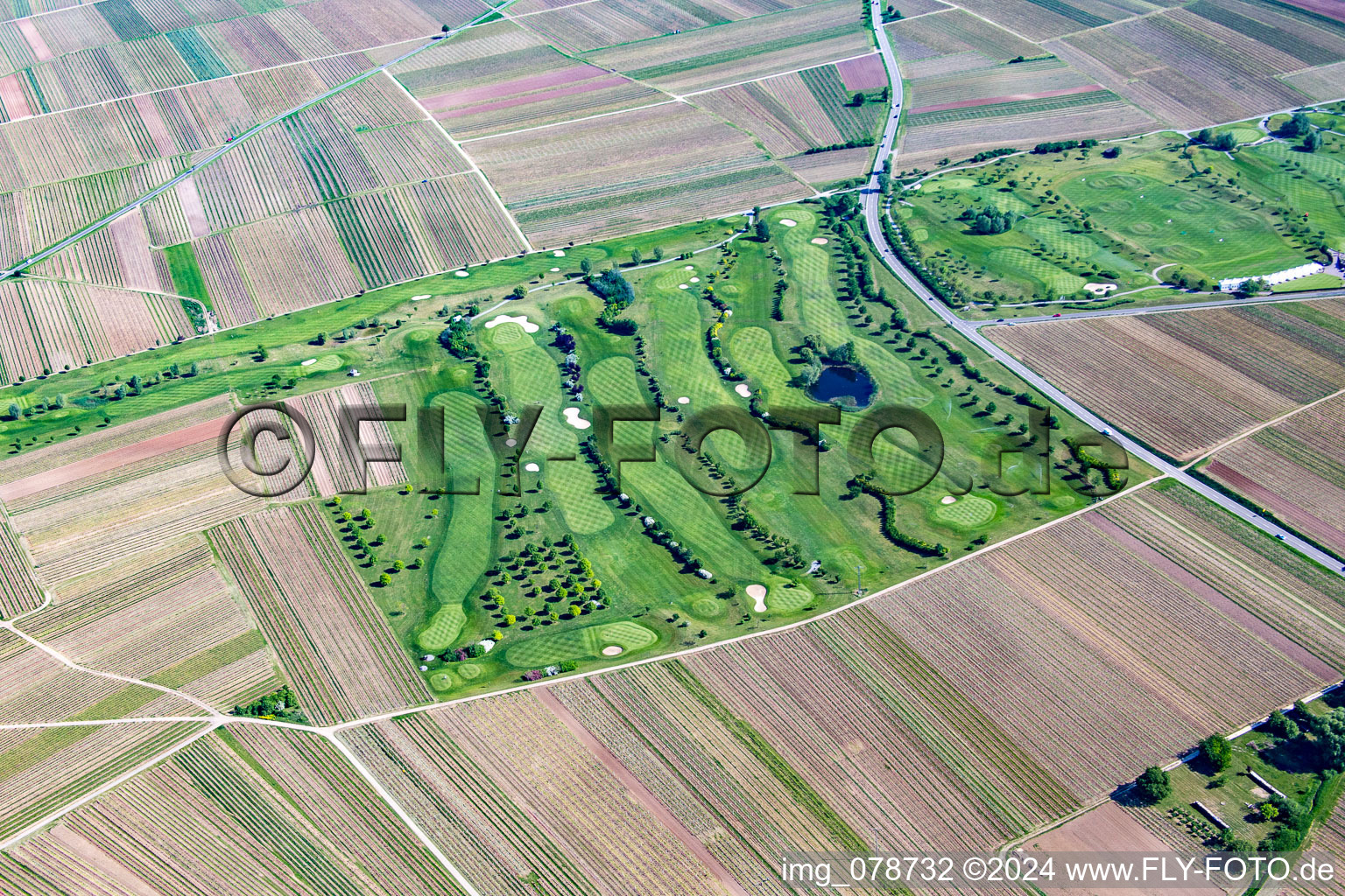 Terrain de golf à Dackenheim dans le département Rhénanie-Palatinat, Allemagne d'en haut