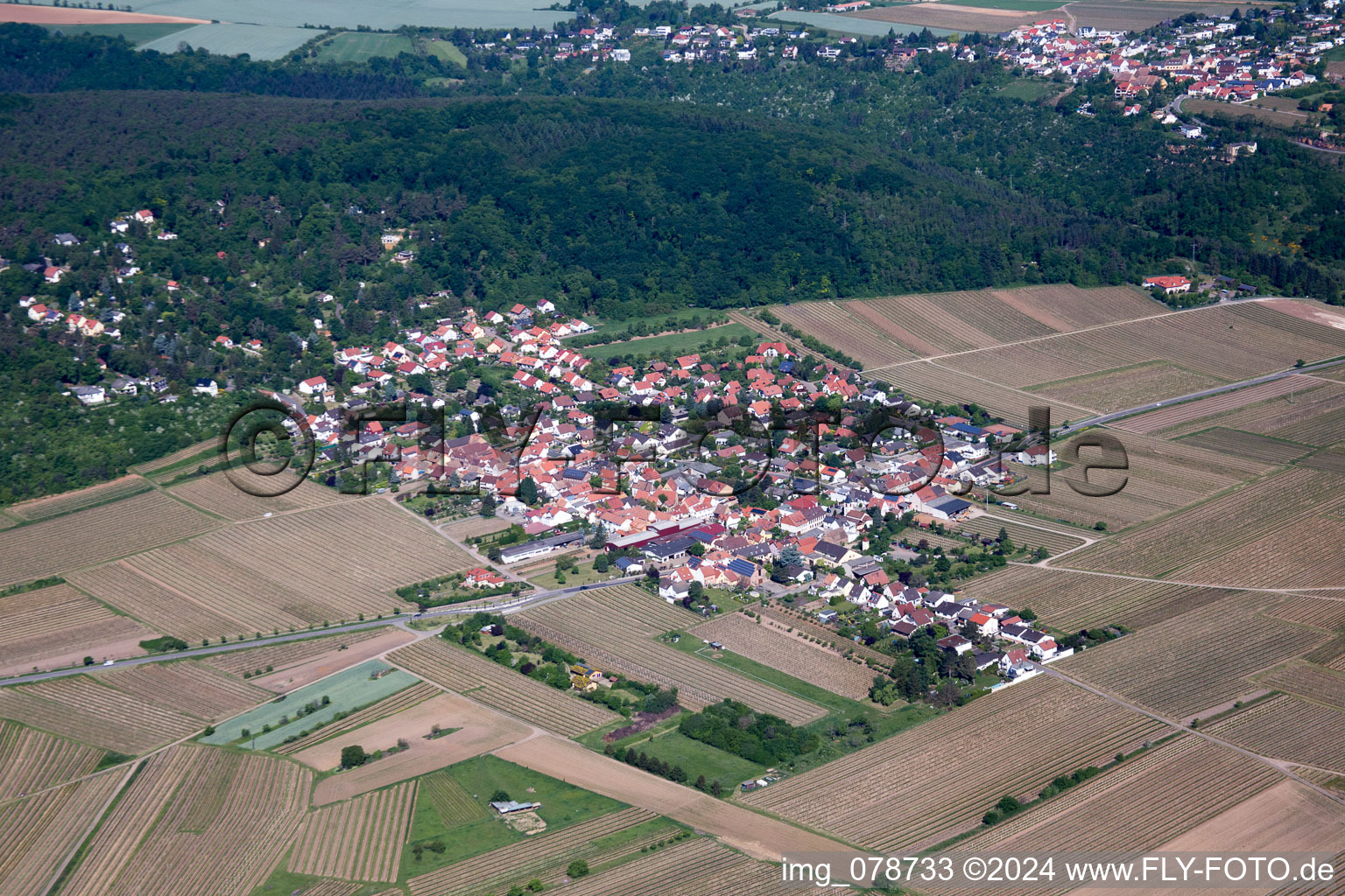 Vue aérienne de Bobenheim am Berg dans le département Rhénanie-Palatinat, Allemagne