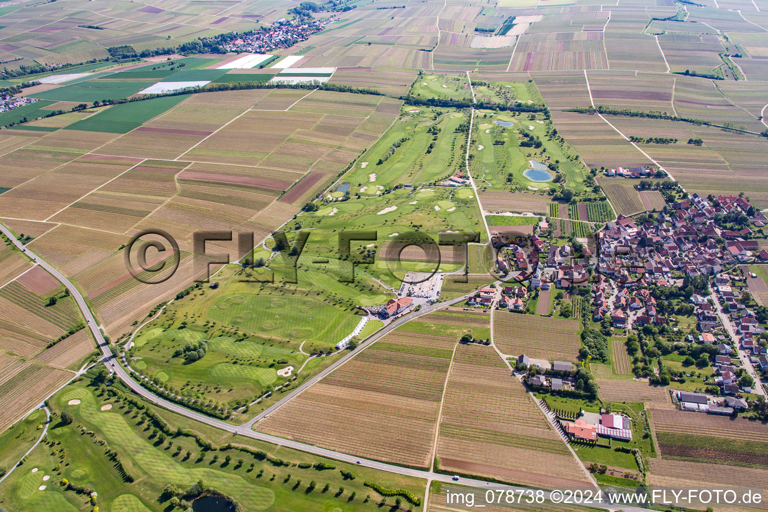 Terrain de golf à Dackenheim dans le département Rhénanie-Palatinat, Allemagne vue d'en haut