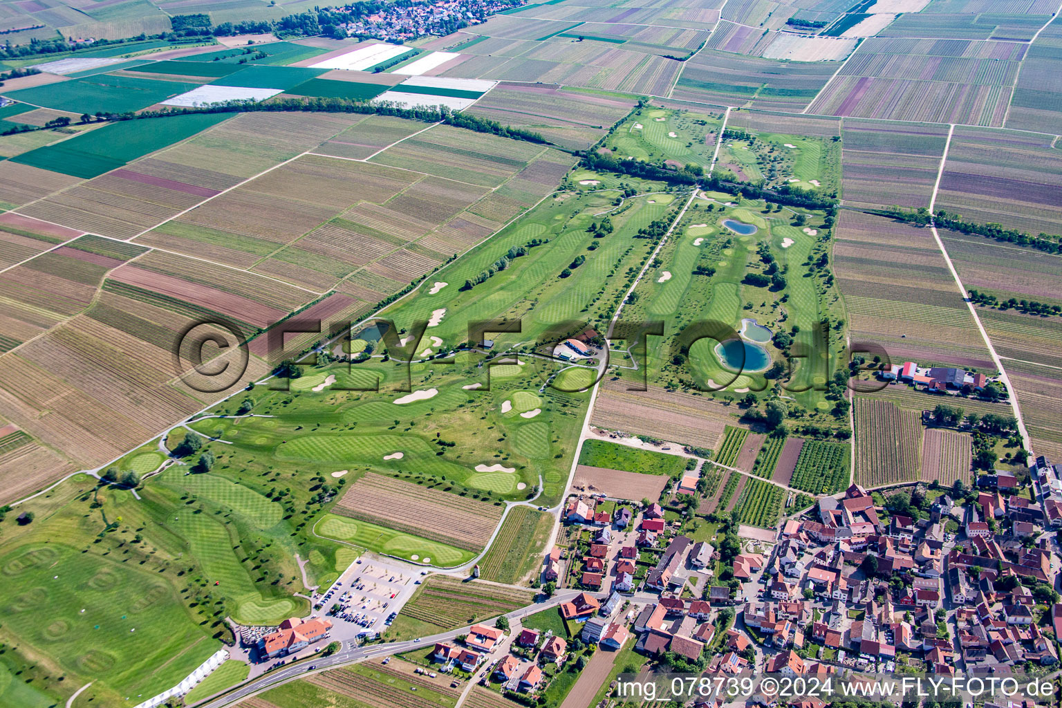 Terrain de golf à Dackenheim dans le département Rhénanie-Palatinat, Allemagne depuis l'avion