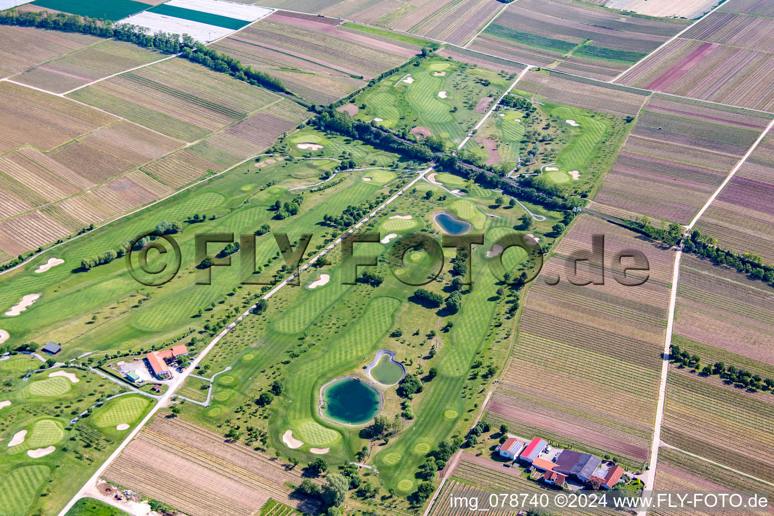 Vue d'oiseau de Terrain de golf à Dackenheim dans le département Rhénanie-Palatinat, Allemagne