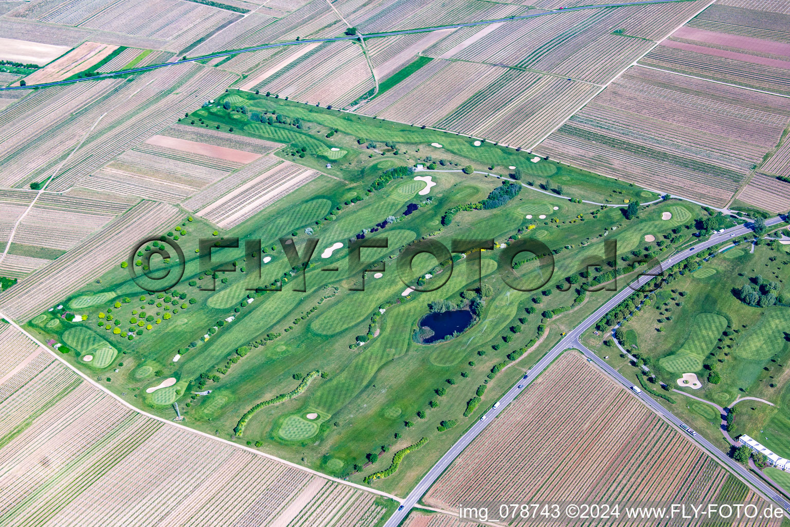 Image drone de Terrain de golf à Dackenheim dans le département Rhénanie-Palatinat, Allemagne