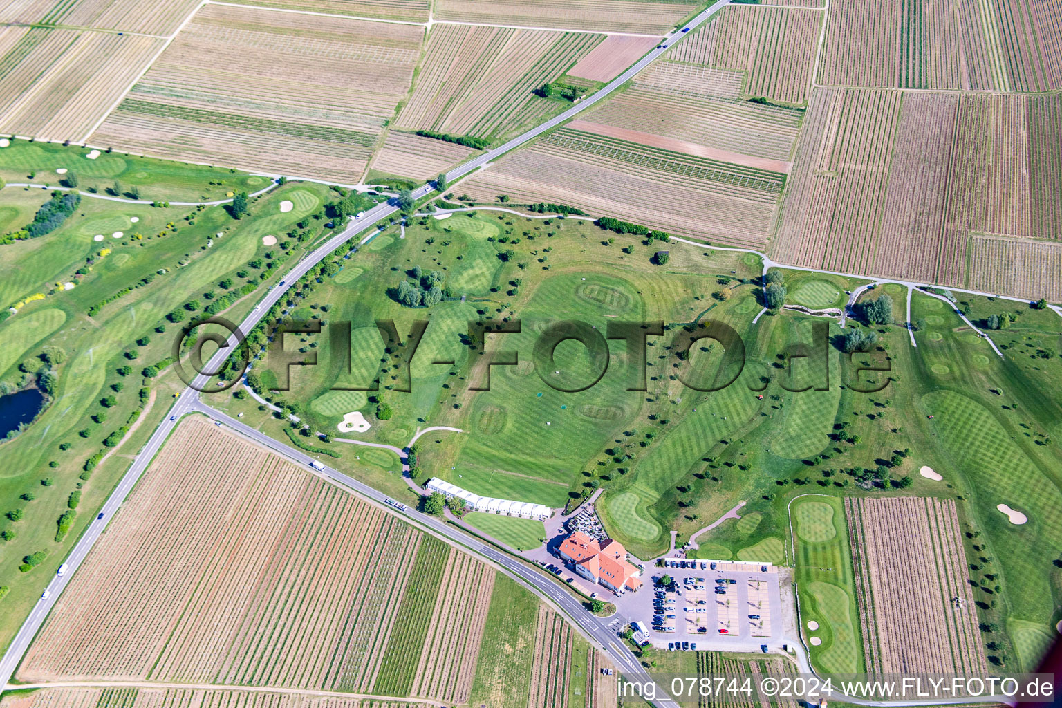 Terrain de golf à Dackenheim dans le département Rhénanie-Palatinat, Allemagne du point de vue du drone