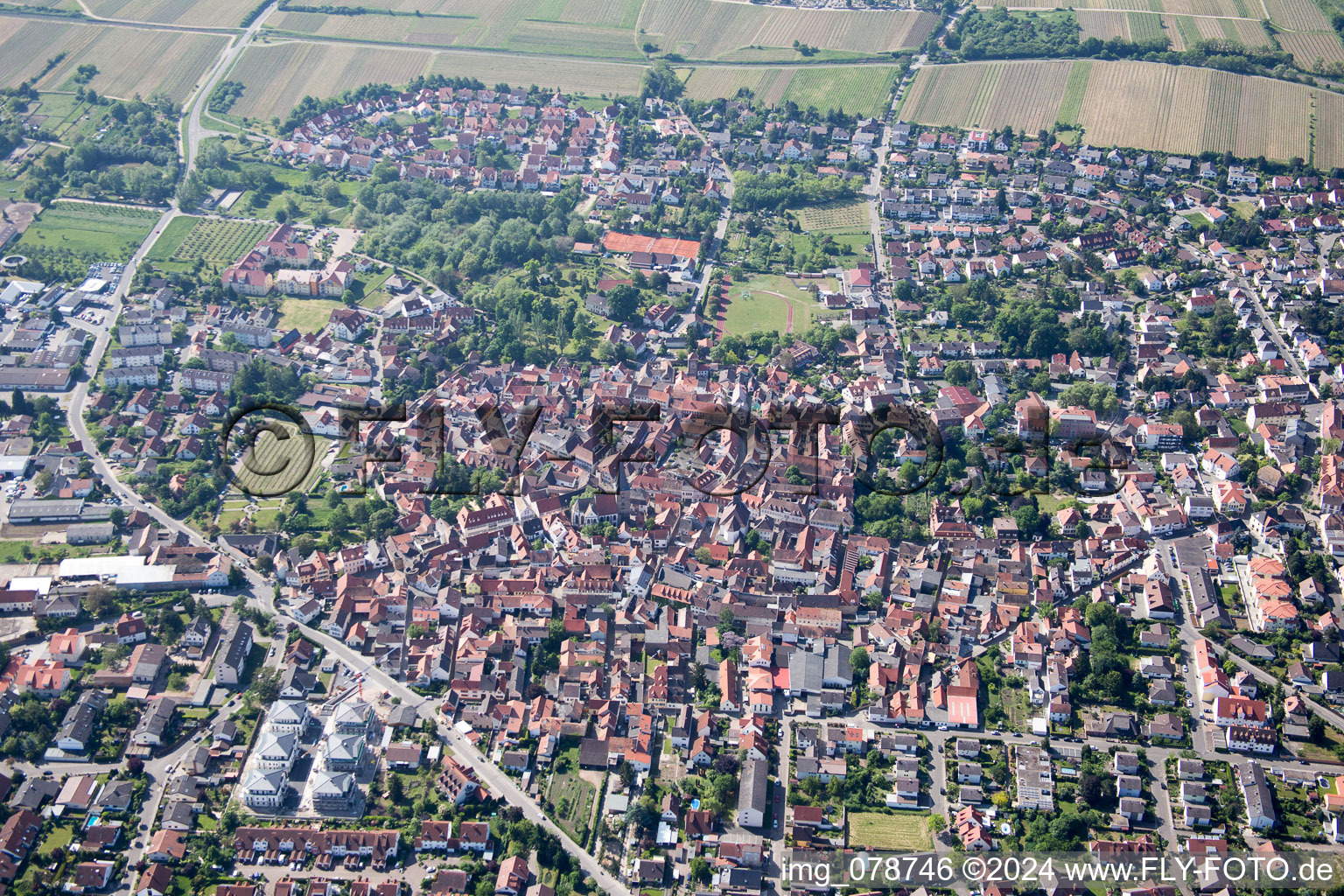 Vue aérienne de Freinsheim dans le département Rhénanie-Palatinat, Allemagne