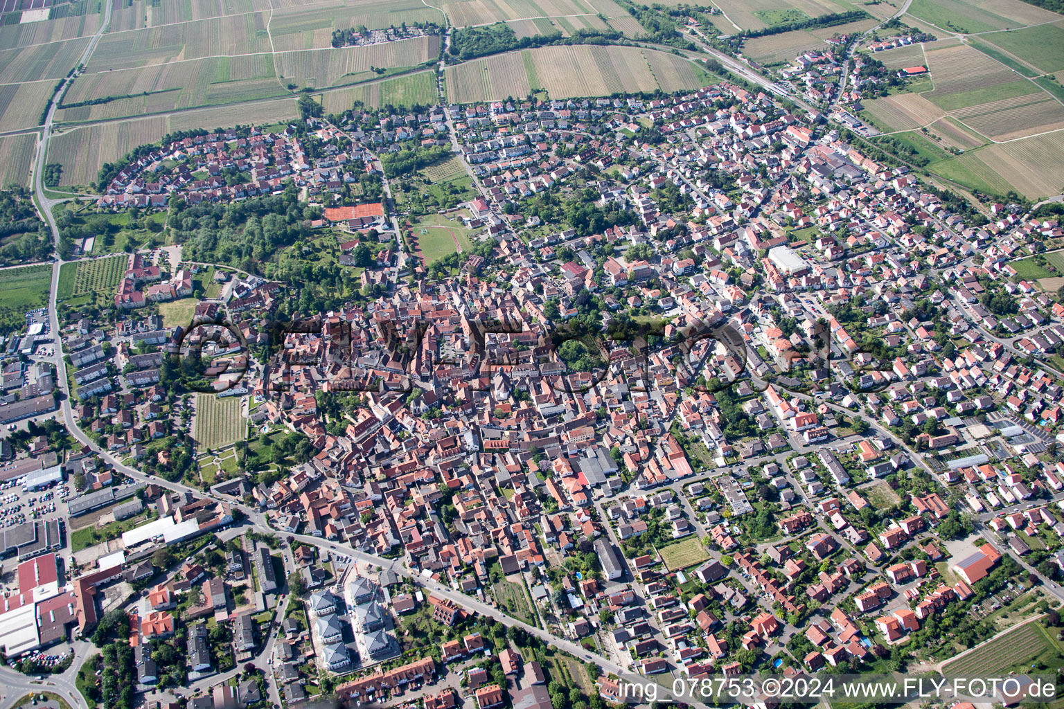 Photographie aérienne de Freinsheim dans le département Rhénanie-Palatinat, Allemagne