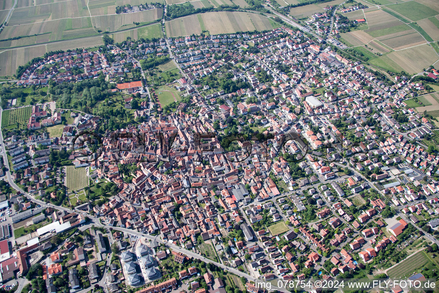 Vue aérienne de Vue des rues et des maisons des quartiers résidentiels à Freinsheim dans le département Rhénanie-Palatinat, Allemagne