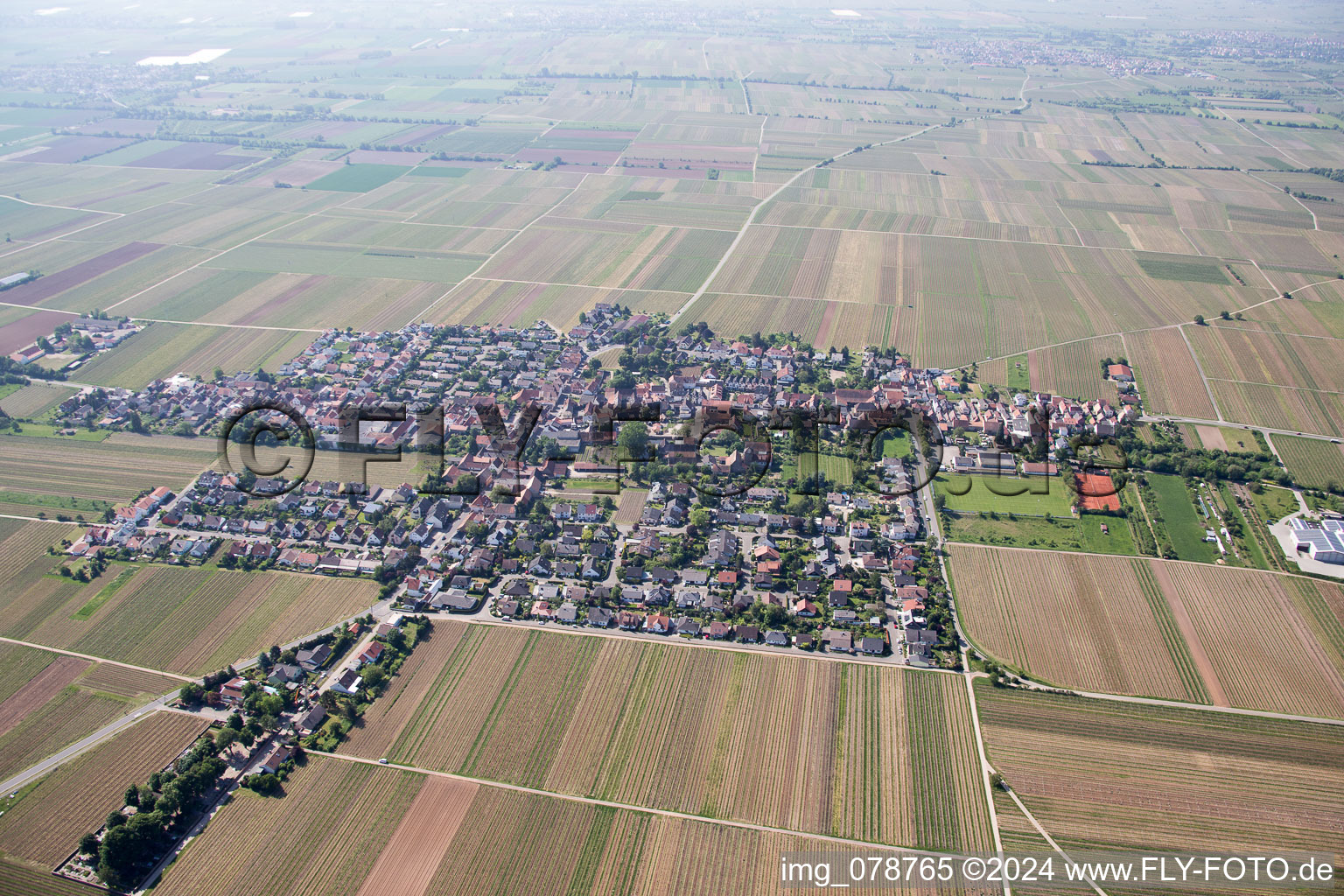 Vue aérienne de Friedelsheim dans le département Rhénanie-Palatinat, Allemagne