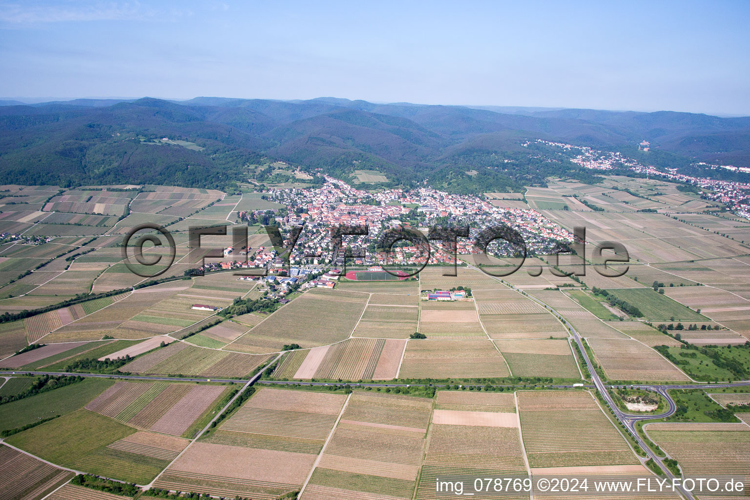 Vue aérienne de Wachenheim à Wachenheim an der Weinstraße dans le département Rhénanie-Palatinat, Allemagne