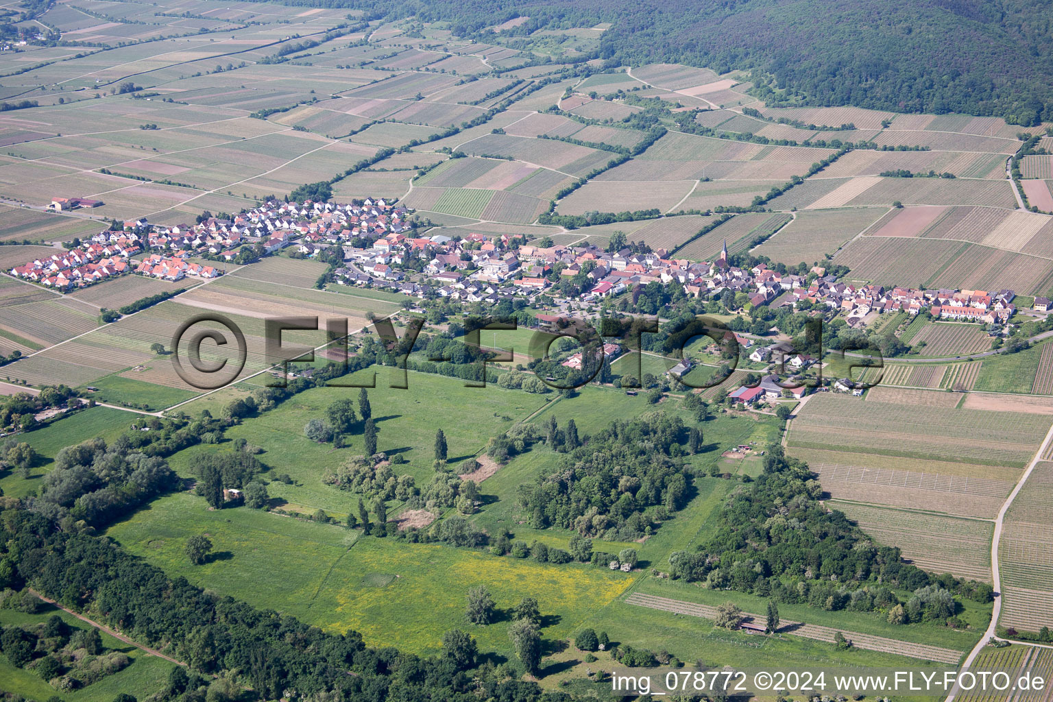 Vue aérienne de Vignobles à le quartier Forst in Forst an der Weinstraße dans le département Rhénanie-Palatinat, Allemagne