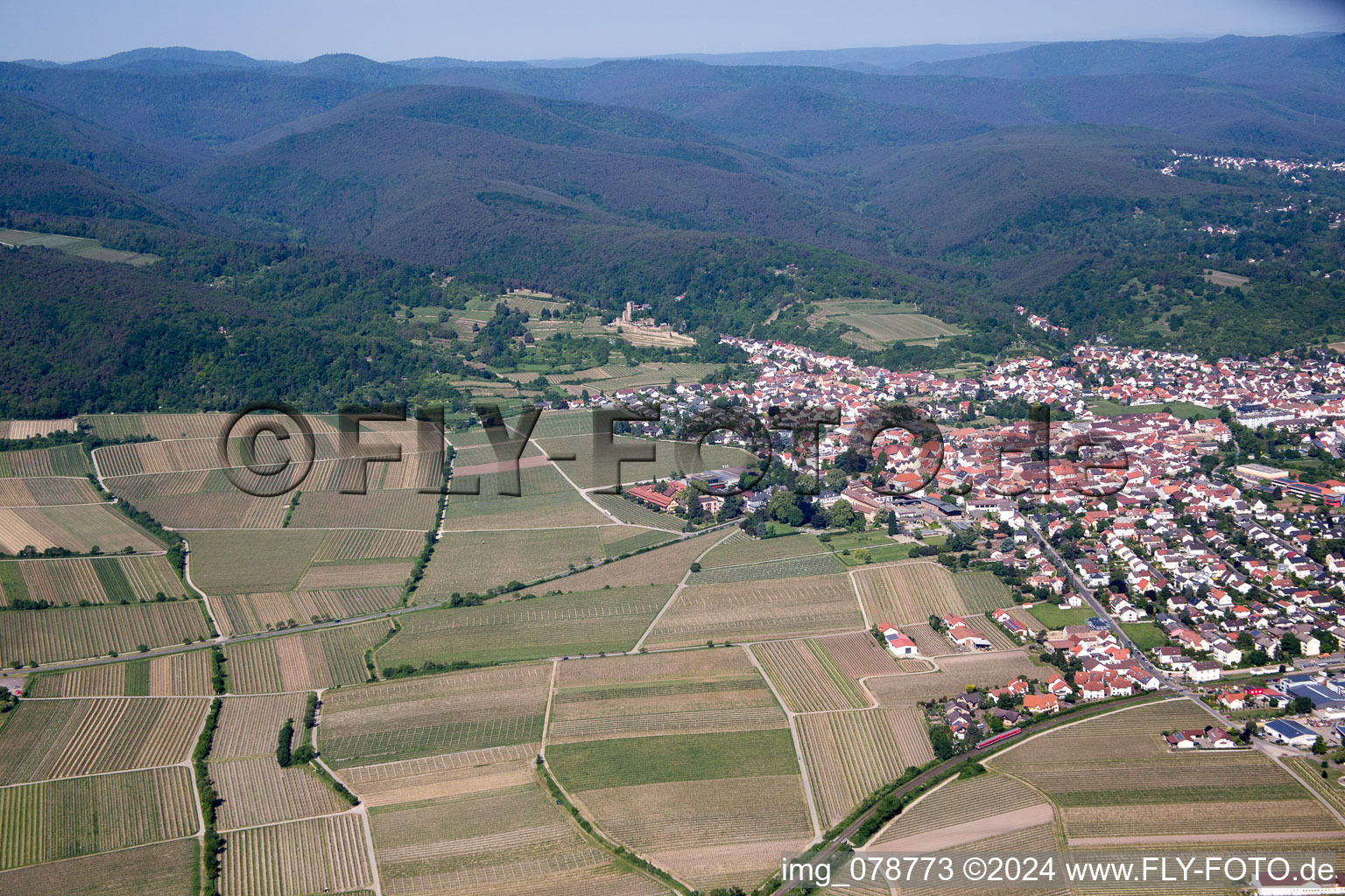 Vue aérienne de Wachenheim à Wachenheim an der Weinstraße dans le département Rhénanie-Palatinat, Allemagne