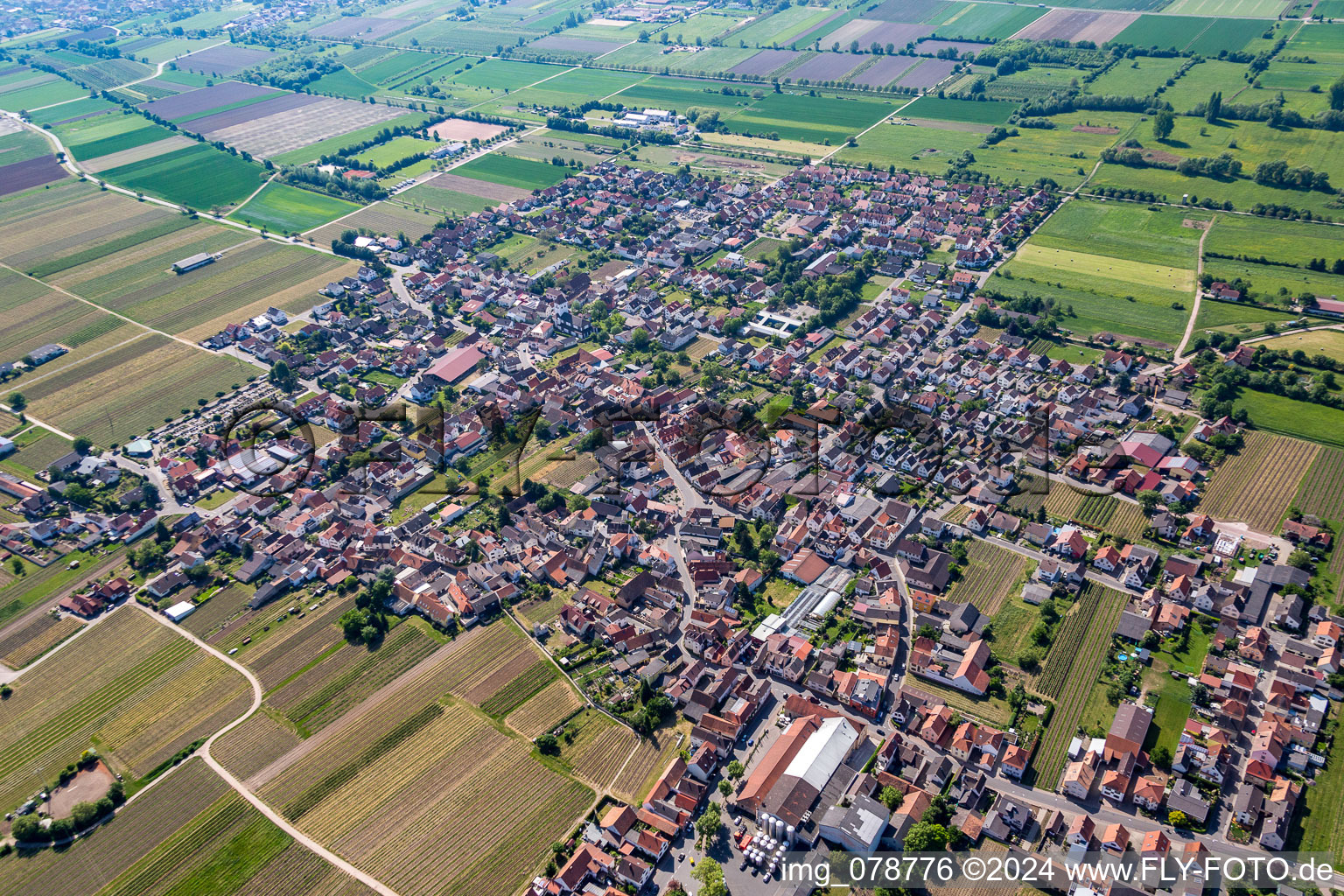 Vue aérienne de Vue des rues et des maisons des quartiers résidentiels à le quartier Niederkirchen in Niederkirchen bei Deidesheim dans le département Rhénanie-Palatinat, Allemagne