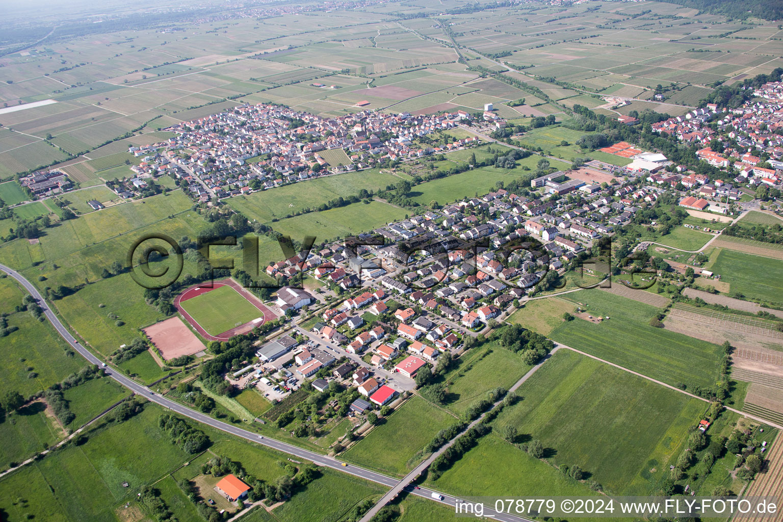 Vue aérienne de Deidesheim dans le département Rhénanie-Palatinat, Allemagne