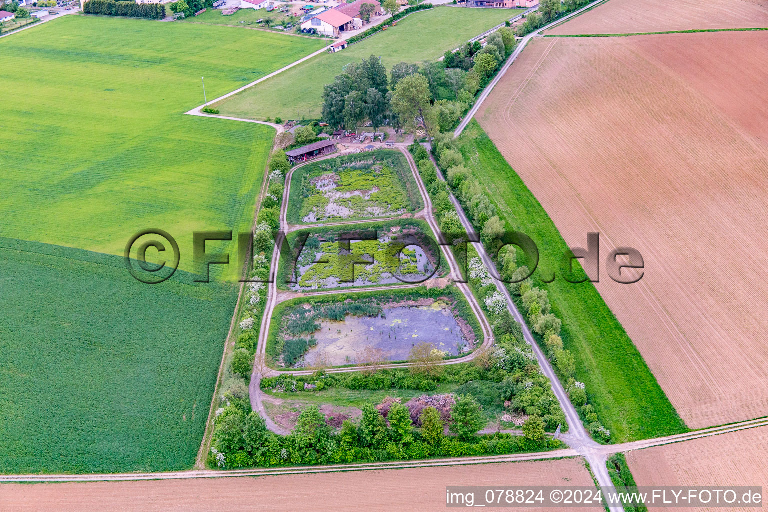 Vue aérienne de Étangs à poissons à le quartier Hausen in Hausen bei Würzburg dans le département Bavière, Allemagne