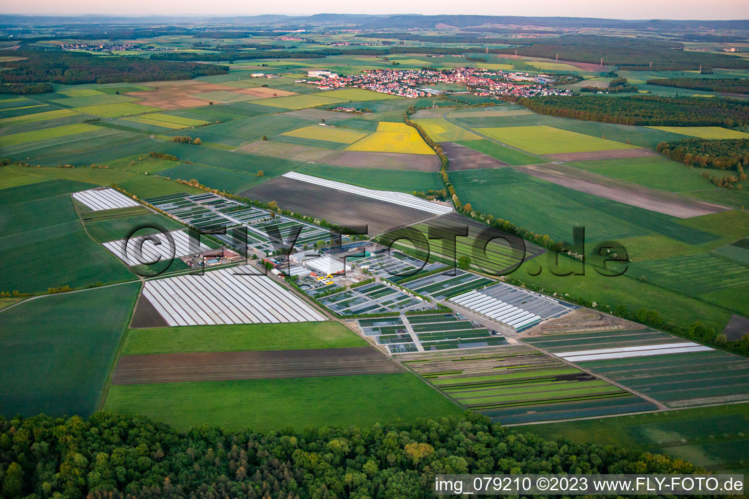 Vue aérienne de Rangées colorées de parterres dans un champ pour faire pousser des fleurs à la pépinière Dieter Denzer à Gochsheim dans le département Bavière, Allemagne