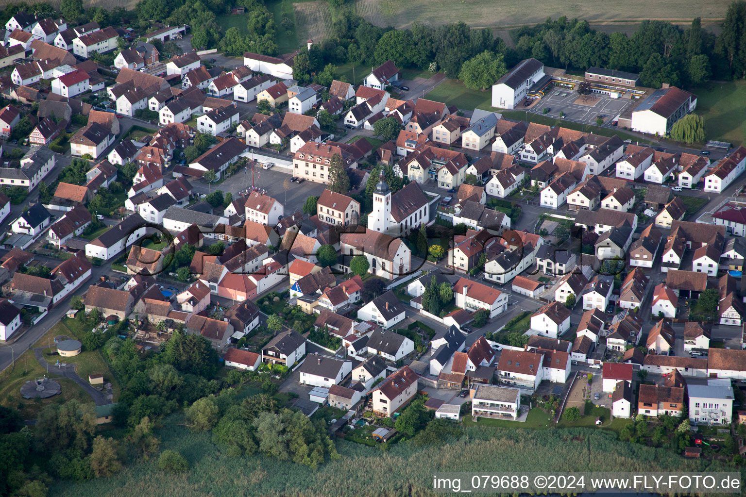 Vue oblique de Quartier Neuburg in Neuburg am Rhein dans le département Rhénanie-Palatinat, Allemagne