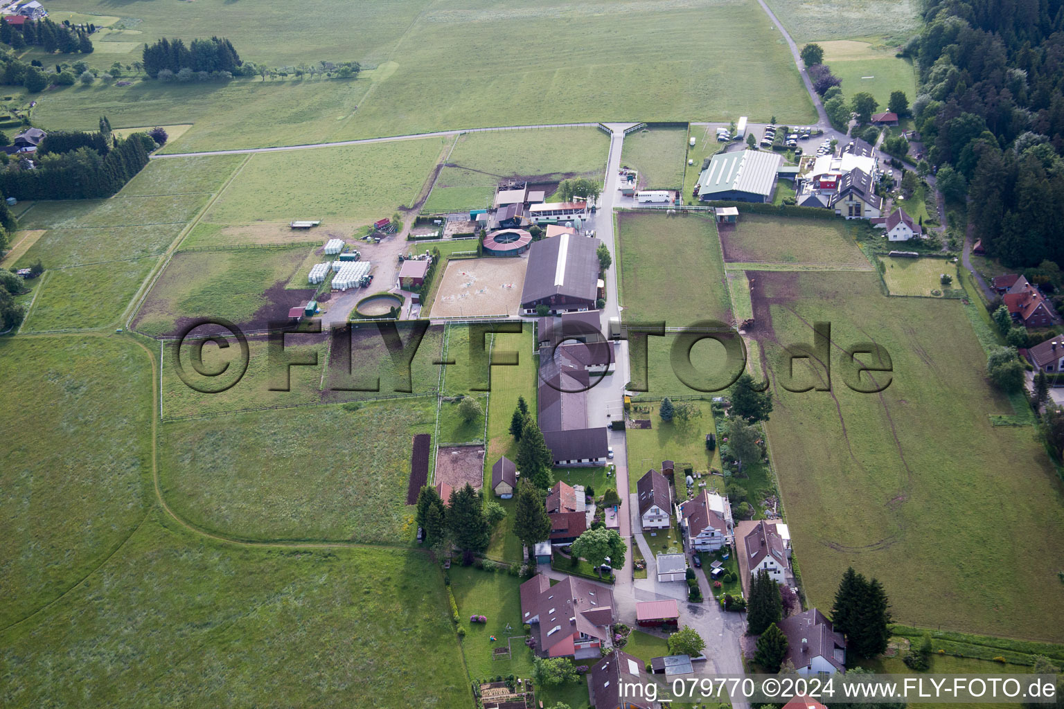 Goujon Dobel à Dobel dans le département Bade-Wurtemberg, Allemagne d'en haut