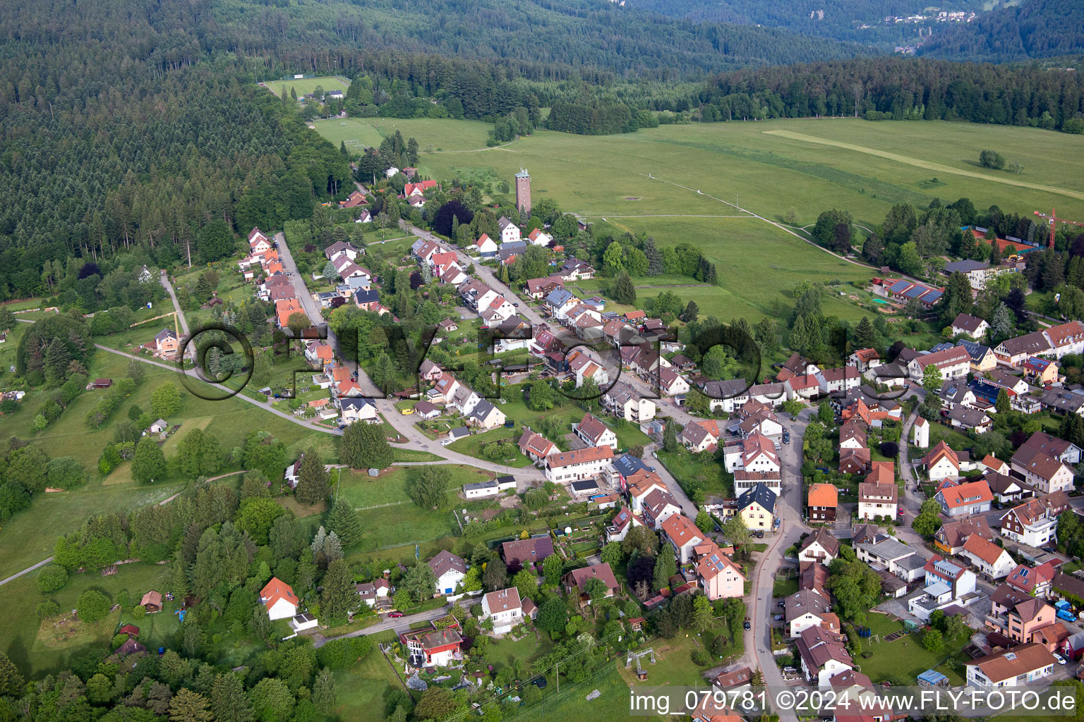 Dobel dans le département Bade-Wurtemberg, Allemagne d'en haut