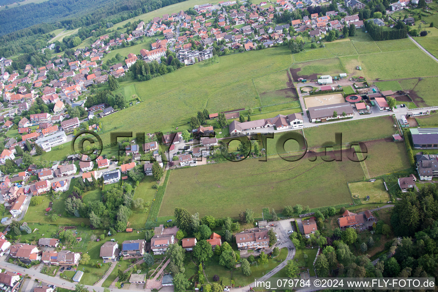 Enregistrement par drone de Goujon Dobel à Dobel dans le département Bade-Wurtemberg, Allemagne