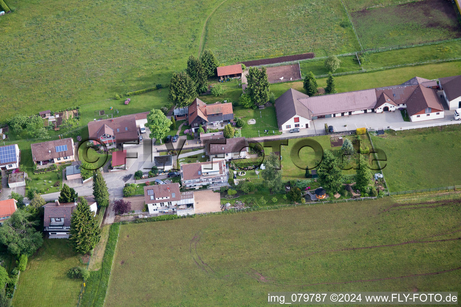 Image drone de Goujon Dobel à Dobel dans le département Bade-Wurtemberg, Allemagne