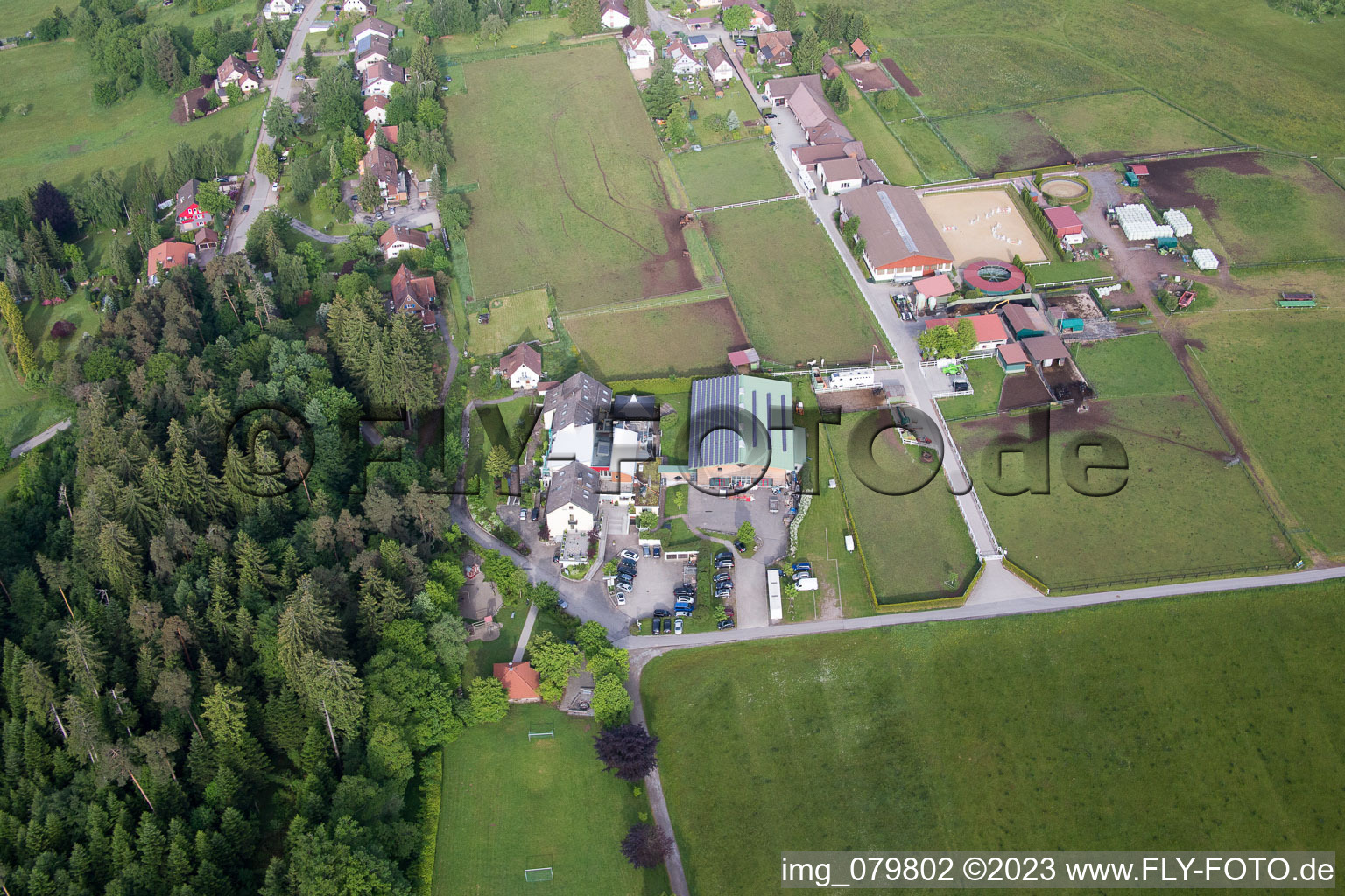 Photographie aérienne de Goujon Dobel à Dobel dans le département Bade-Wurtemberg, Allemagne