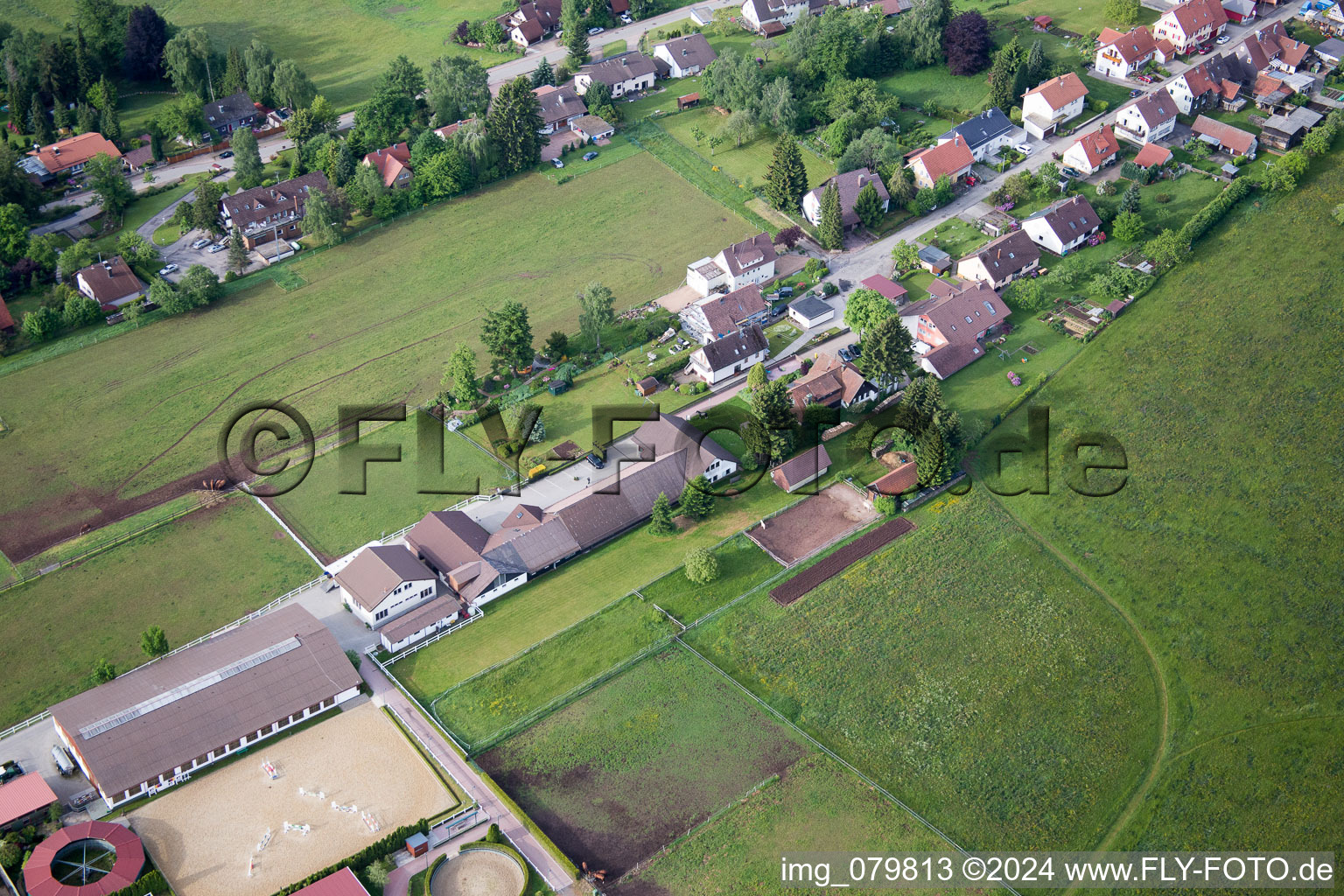 Enregistrement par drone de Goujon Dobel à Dobel dans le département Bade-Wurtemberg, Allemagne