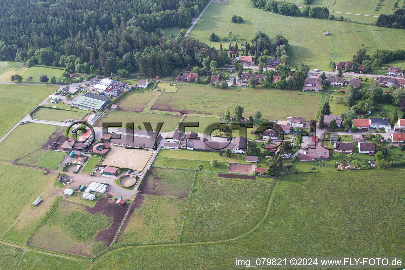 Goujon Dobel à Dobel dans le département Bade-Wurtemberg, Allemagne d'un drone