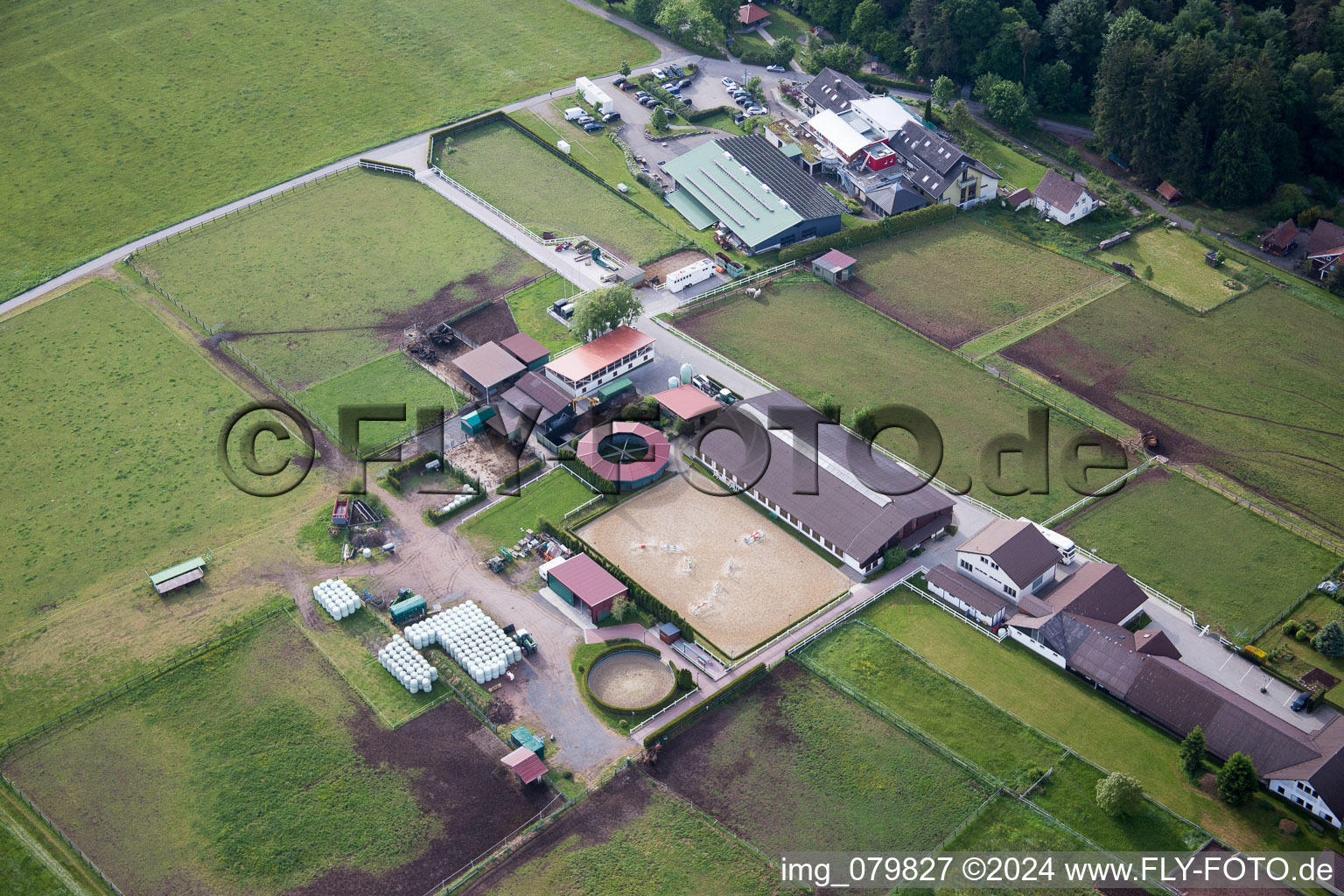 Vue oblique de Goujon Dobel à Dobel dans le département Bade-Wurtemberg, Allemagne