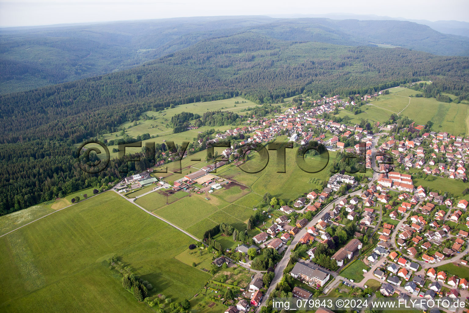 Vue d'oiseau de Goujon Dobel à Dobel dans le département Bade-Wurtemberg, Allemagne