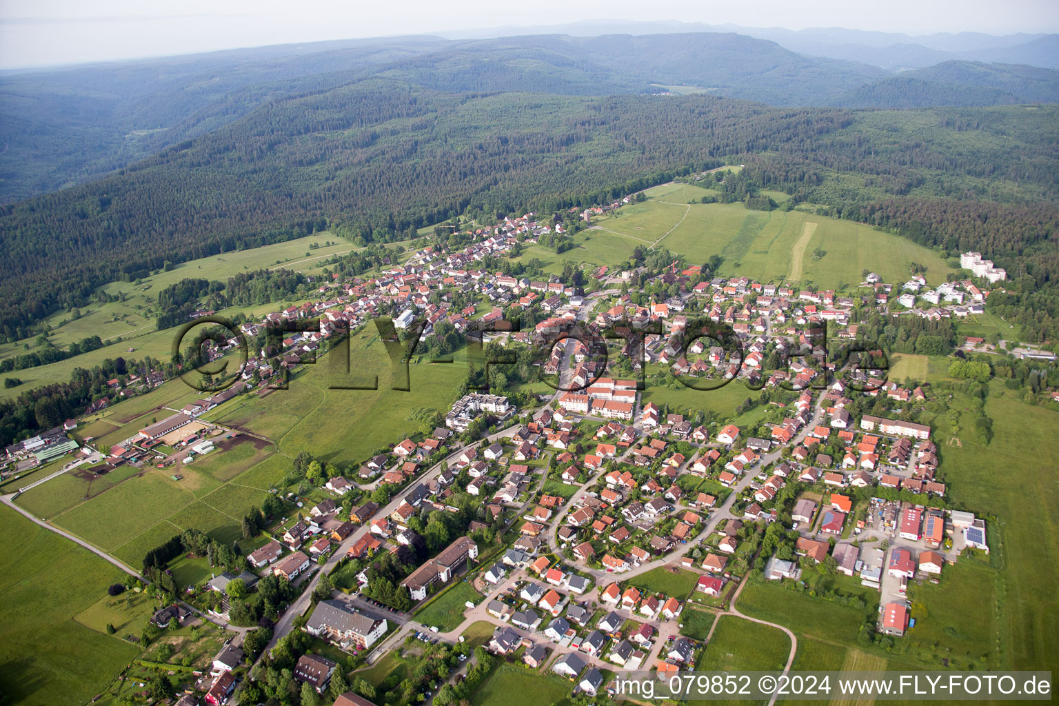 Photographie aérienne de Champs agricoles et surfaces utilisables à Dobel dans le département Bade-Wurtemberg, Allemagne