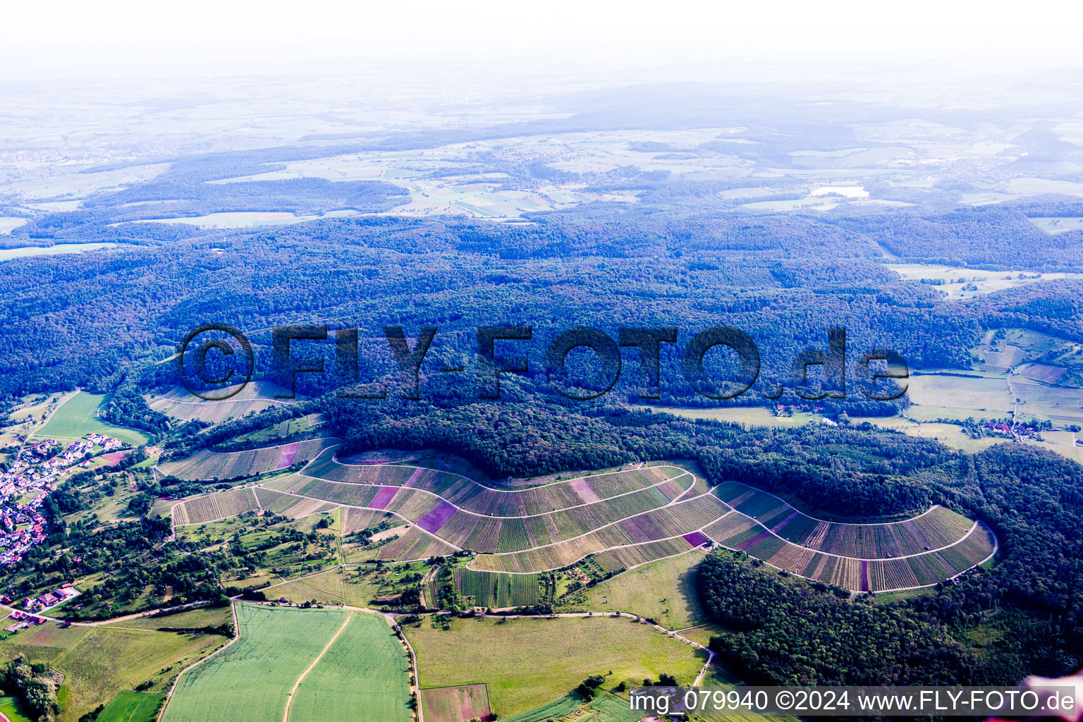 Vue aérienne de Paysage viticole "Wilder Fritz à Sternenfels dans le département Bade-Wurtemberg, Allemagne